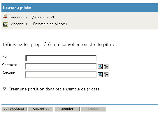 Définir les propriétés du nouvel ensemble de pilotes