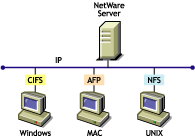 Protocoles Novell Native File Access