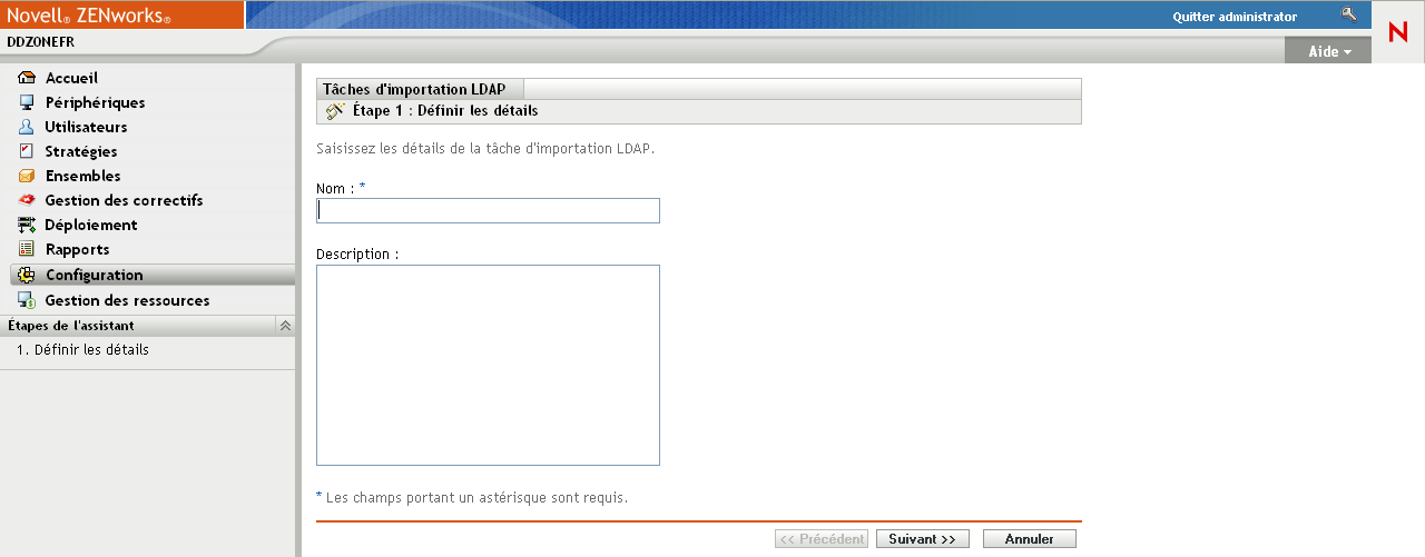 Assistant Tâches d'importation LDAP > page Définir les détails