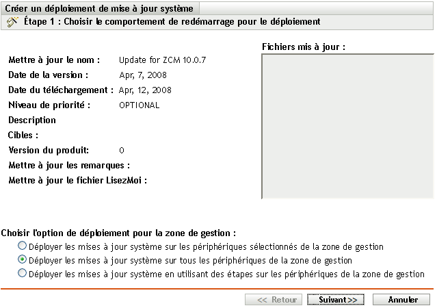 Page de l'assistant Choisir l'option de mise à jour système et de déploiement