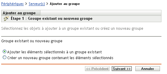 Assistant Ajouter au groupe : page Groupe existant ou nouveau groupe