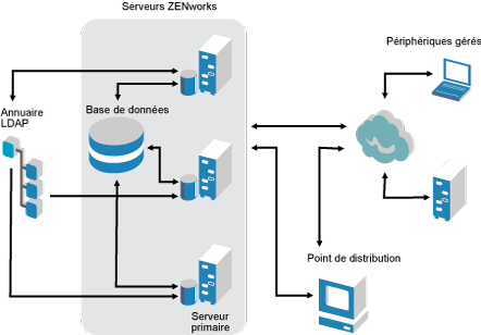 Architecture ZENworks 11