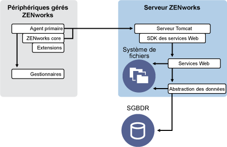 Architecture client-serveur ZENworks 11