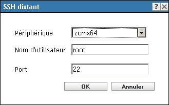 boîte de dialogue SSH distant