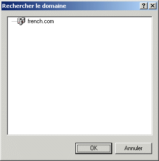Boîte de dialogue Rechercher le domaine