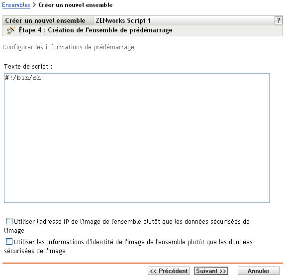 Étape 4 page de création d'un nouvel ensemble : création de l'ensemble de pré-lancement (champ Texte de script)