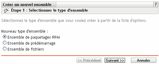 Étape 1 : page Sélectionner le type d'ensemble