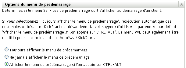 Section Options du menu de pré-lancement