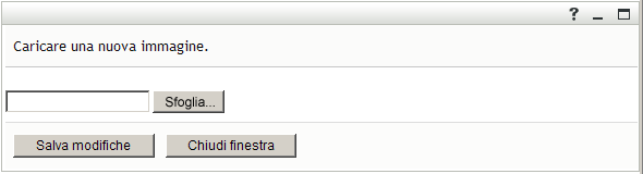 La pagina Caricamento immagine consente di individuare l'immagine da includere nel profilo personale