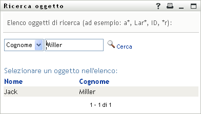 Nella finestra Ricerca verrà chiesto di immettere i criteri di ricerca