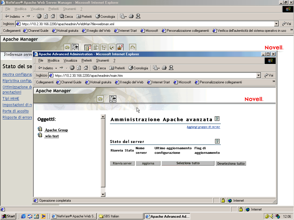 Interfacce di Amministrazione server multipli e Server singolo di Apache Manager.