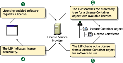 How NLS Works