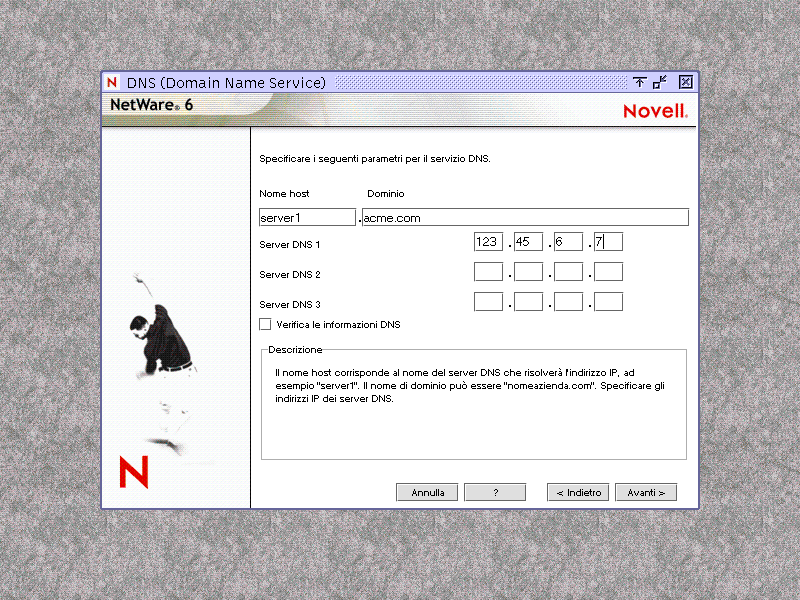 Schermata relativa al servizio DNS