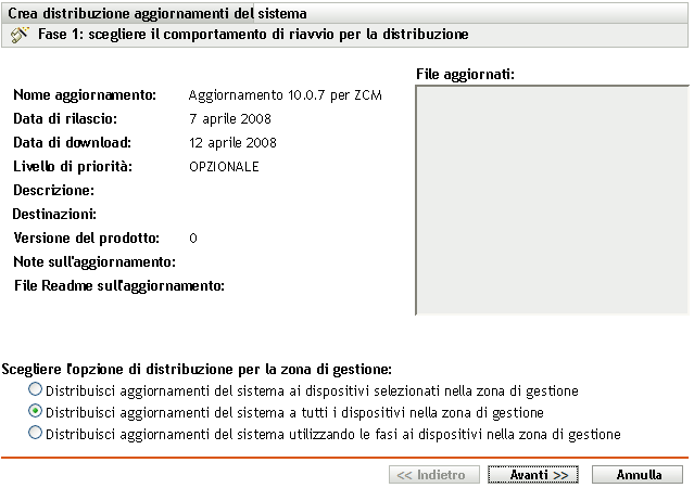 Pagina della procedura guidata Scegliere l'opzione di aggiornamento e distribuzione del sistema