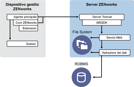 Architettura client-server di ZENworks 11