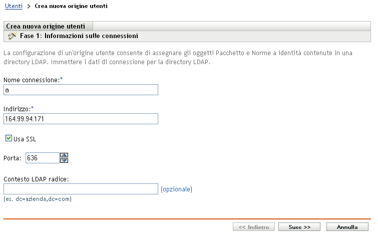 Creazione guidata nuova origine utente - Pagina Informazioni sulle connessioni