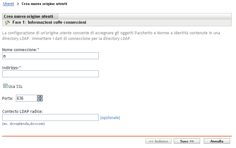 Creazione guidata nuova origine utente - Pagina Informazioni sulle connessioni