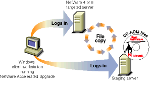 NetWare Accelerated Upgrade̓