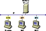 Novell Native File Access Protocols