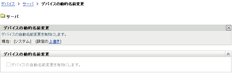 ［デバイスの動的名前変更］ページ