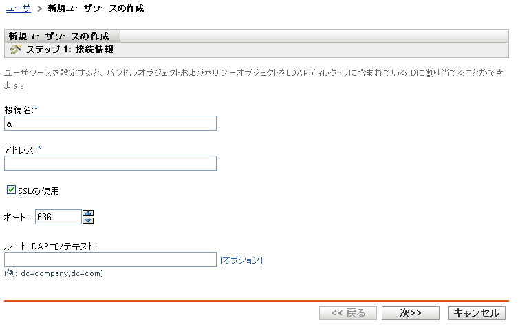 新規ユーザソースの作成ウィザード - ［接続情報］ページ