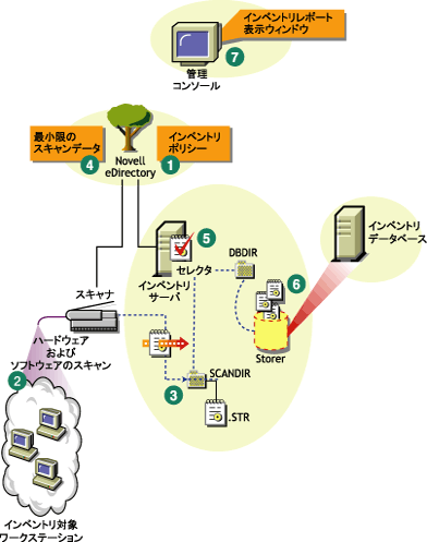 Novell Clientがインストールされているワークステーションで構成されるスタンドアロンサーバでのインベントリスキャンサイクル。