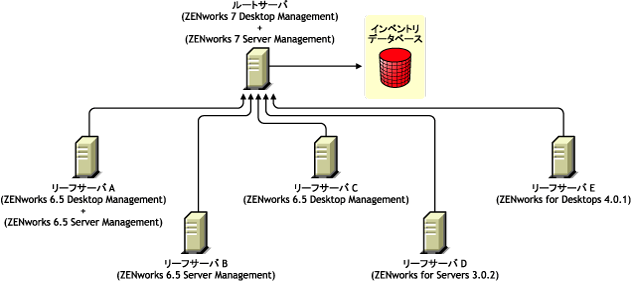 ZENworks 7 Desktop ManagementとZENworks 7 Server Managementがインストールされたルートサーバにインベントリ情報をロールアップする、異なるバージョンのZENworksがインストールされたリーフサーバ。