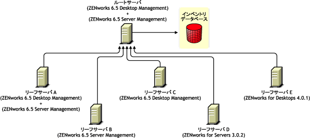 ZENworks 6.5 Desktop ManagementとZENworks 6.5 Server Managementがインストールされたルートサーバにインベントリ情報をロールアップする、異なるバージョンのZENworksがインストールされたリーフサーバ。