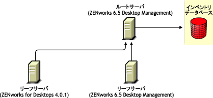 ZENworks 6.5 Desktop Managementルートサーバにインベントリ情報をロールアップするZENworks for Desktops 4.0.1リーフサーバとZENworks 6.5 Desktop Managementリーフサーバ。