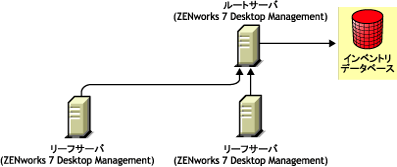 ZENworks 7 Desktop ManagementリーフサーバからZENworks 7 Desktop Managementルートサーバへのロールアップ。