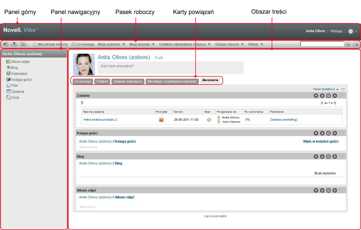 Interfejs systemu Vibe