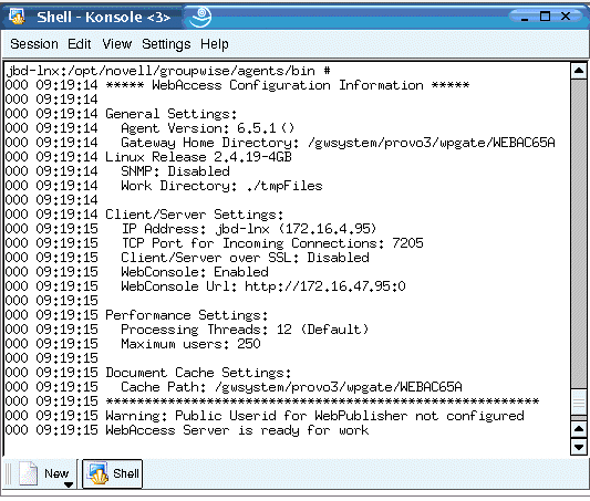 Janela de terminal do WebAccess