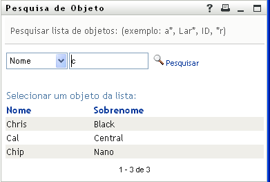 Após uma pesquisa, a página de pesquisa de objetos também exibe os resultados da pesquisa 