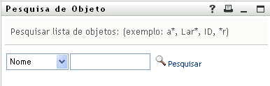 A página de pesquisa de objetos permite especificar critérios de pesquisa