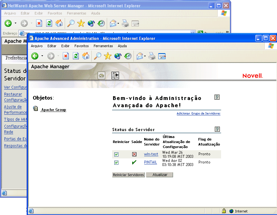 Interfaces de administrao para vrios servidores e para um nico servidor do Apache Manager.