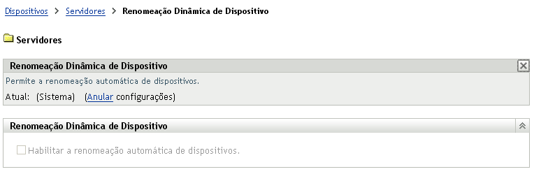 Página Renomeação Dinâmica de Dispositivo