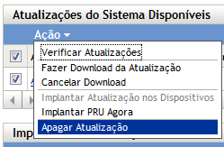 Painel Status de Atualização do Sistema com a opção Ações exibida, especificamente a ação Apagar Atualização