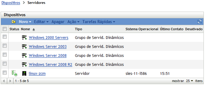 Lista de grupos de servidores classificados pelo sistema operacional