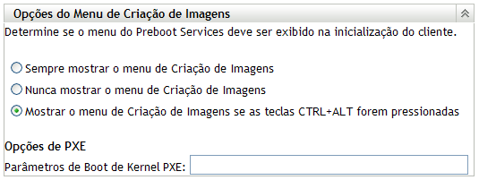 Painel Opções do Menu de Criação de Imagens