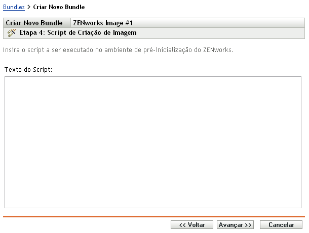 Assistente de Criação de Novo Bundle - página Script de Criação de Imagem