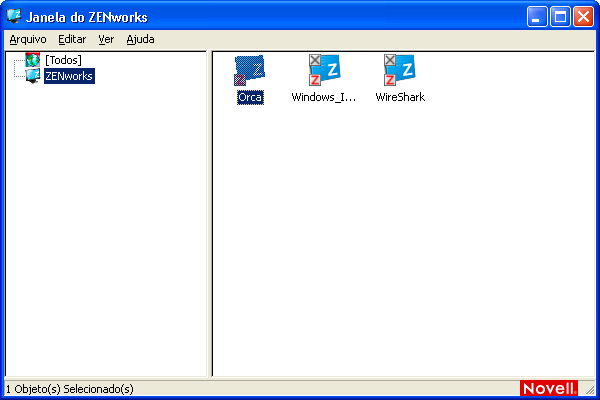 Janela do ZENworks