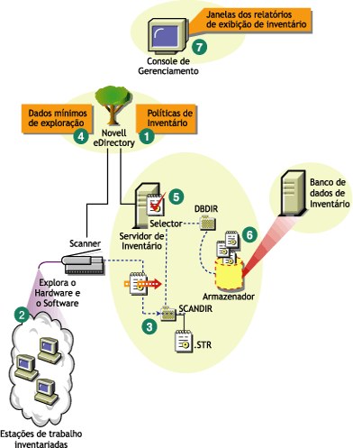 O ciclo de exploração de Inventário no Servidor Standalone, que consiste em estações de trabalho com o Novell Client instalado.