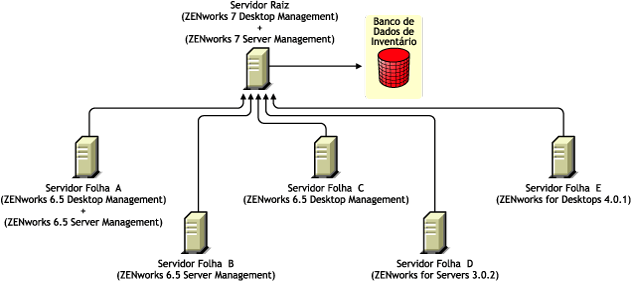 Os Servidores Folha que possuem diferentes versões do ZENworks fazendo roll-up das informações de inventário para o Servidor Raiz que possui o ZENworks 7 Desktop Management e o ZENworks 7 Server Management.