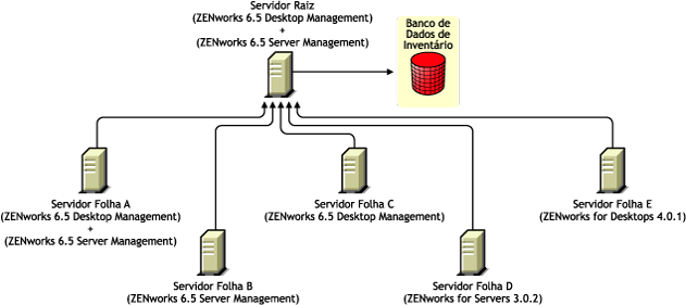 Os Servidores Folha que possuem diferentes versões do ZENworks fazendo roll-up das informações de inventário para o Servidor Raiz que possui o ZENworks 6.5 Desktop Management e o ZENworks 6.5 Server Management.