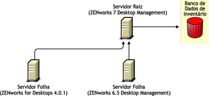 Servidor Folha do ZENworks for Desktops 4.0.1 e Servidor Folha do ZENworks 6.5 Desktop Management fazendo roll-up das informações de Inventário para o Servidor Raiz do ZENworks 7 Desktop Management após o upgrade.