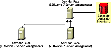 Os Servidores Folha do ZENworks 7 Server Management fazem roll-up para o Servidor Raiz do ZENworks 7 Server Management.