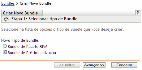 página Etapa 1 para criar um novo bundle: Selecionar Tipo de Bundle