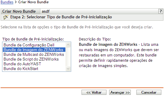 página Etapa 2 para criar um novo bundle: Selecionar Tipo de Bundle de Pré-inicialização