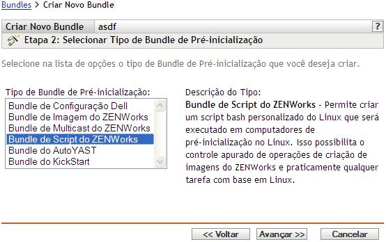 página Etapa 2 para criar um novo bundle: Selecionar Tipo de Bundle de Pré-inicialização