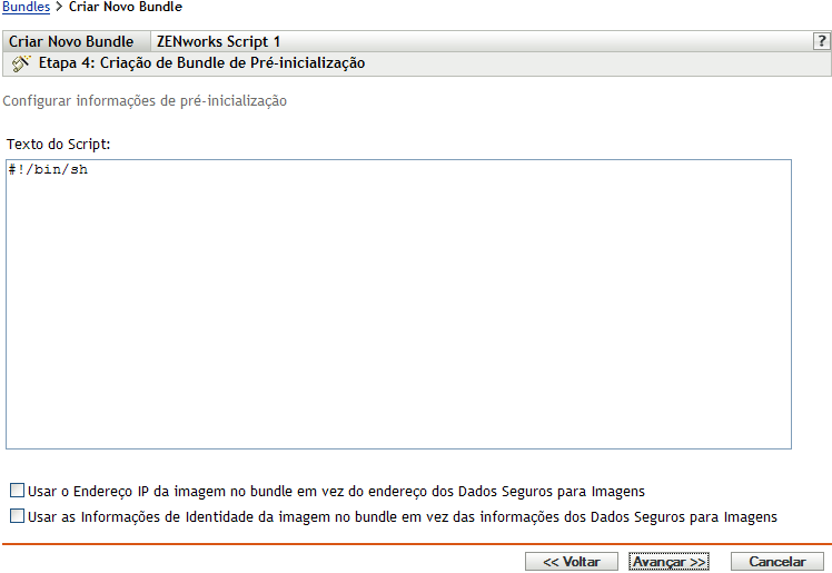 página Etapa 4 para criar um novo bundle: Criação de Bundle de Pré-inicialização (campo Texto do Script)